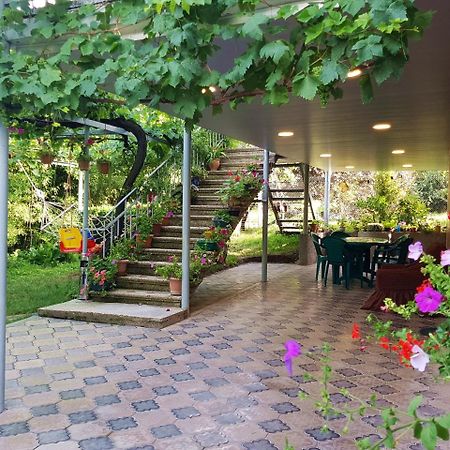 Valiko House In Telavi Hotel Buitenkant foto